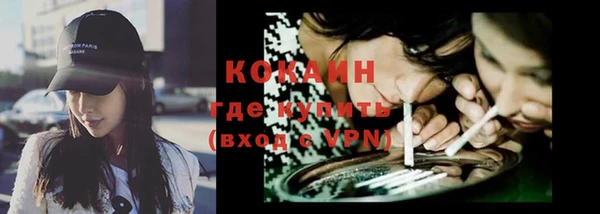 дурь Няндома
