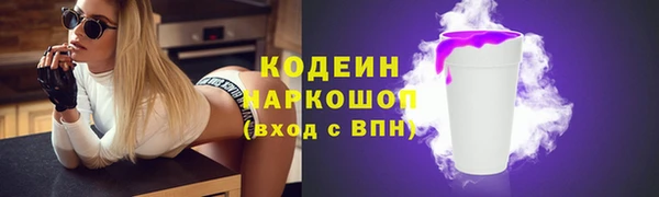 дурь Няндома