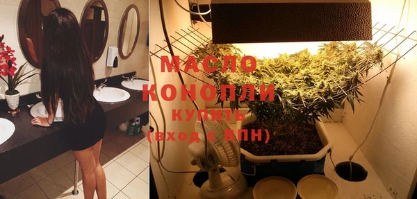 дурь Няндома