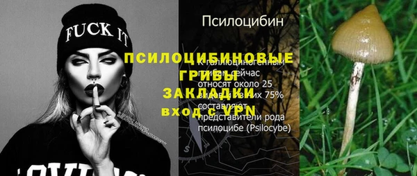 дурь Няндома