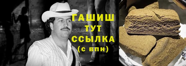 дурь Няндома