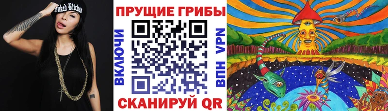 как найти наркотики Бирюч гидра ONION Галлюциногенные грибы MAGIC MUSHROOMS